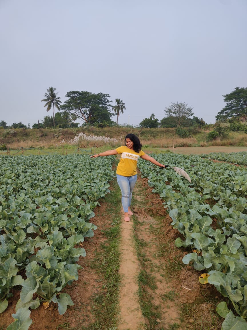 nikita_beura's tweet image. Some Farmhouse Vibes...

#mbavlogger 
#farmhouse 
#pipili