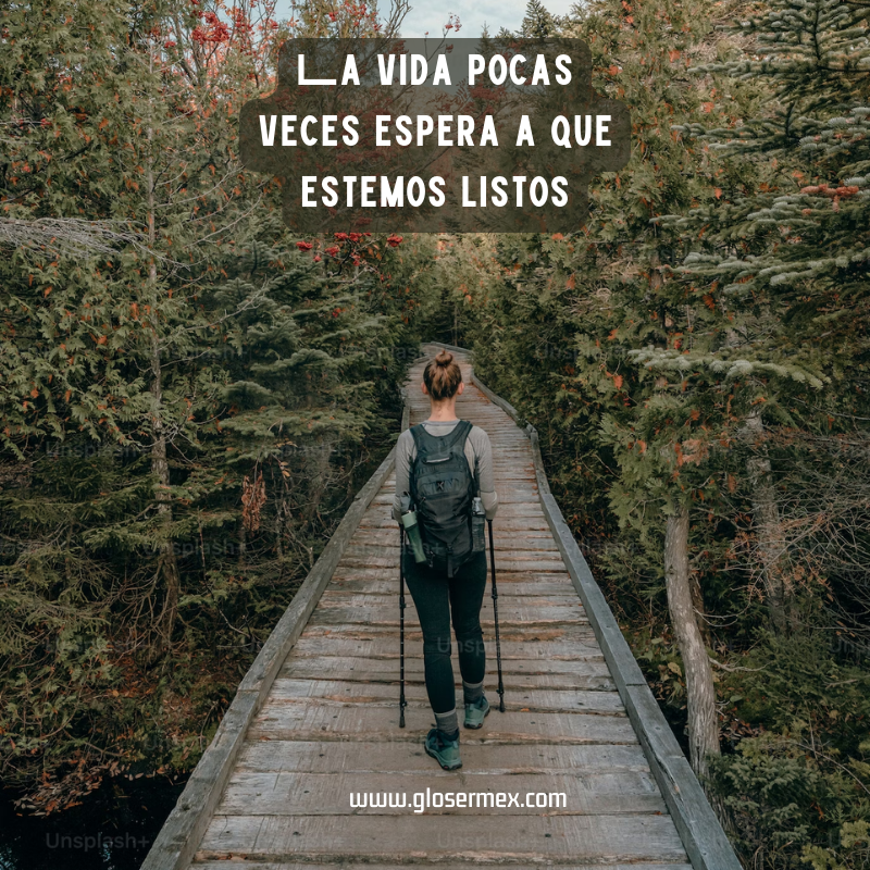 Global Services / Glosermex tweet media