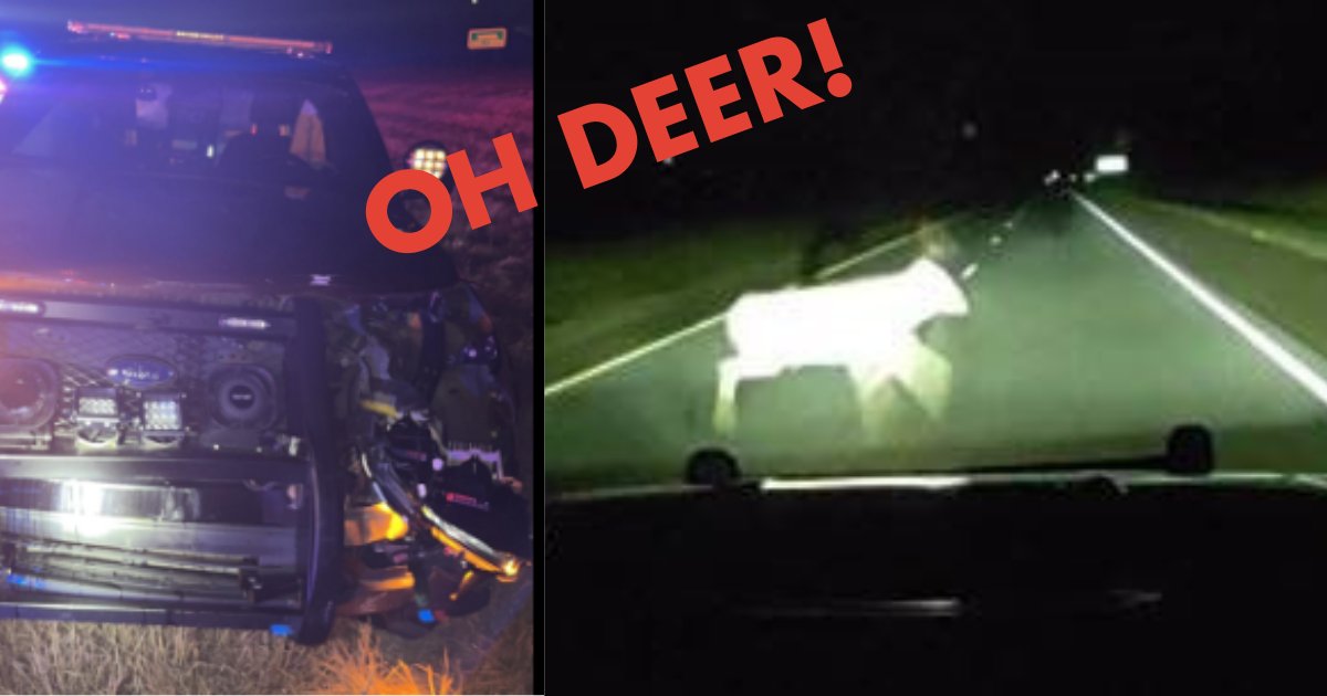 Lenexa Police tweet media