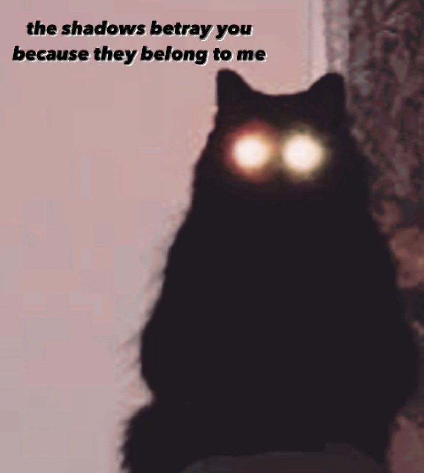 ryvnnha's tweet photo. me [natal Scorpio moon] watching everyone unravel after that new moon in Scorpio on the 13th https://t.co/qAL2hiX4vL