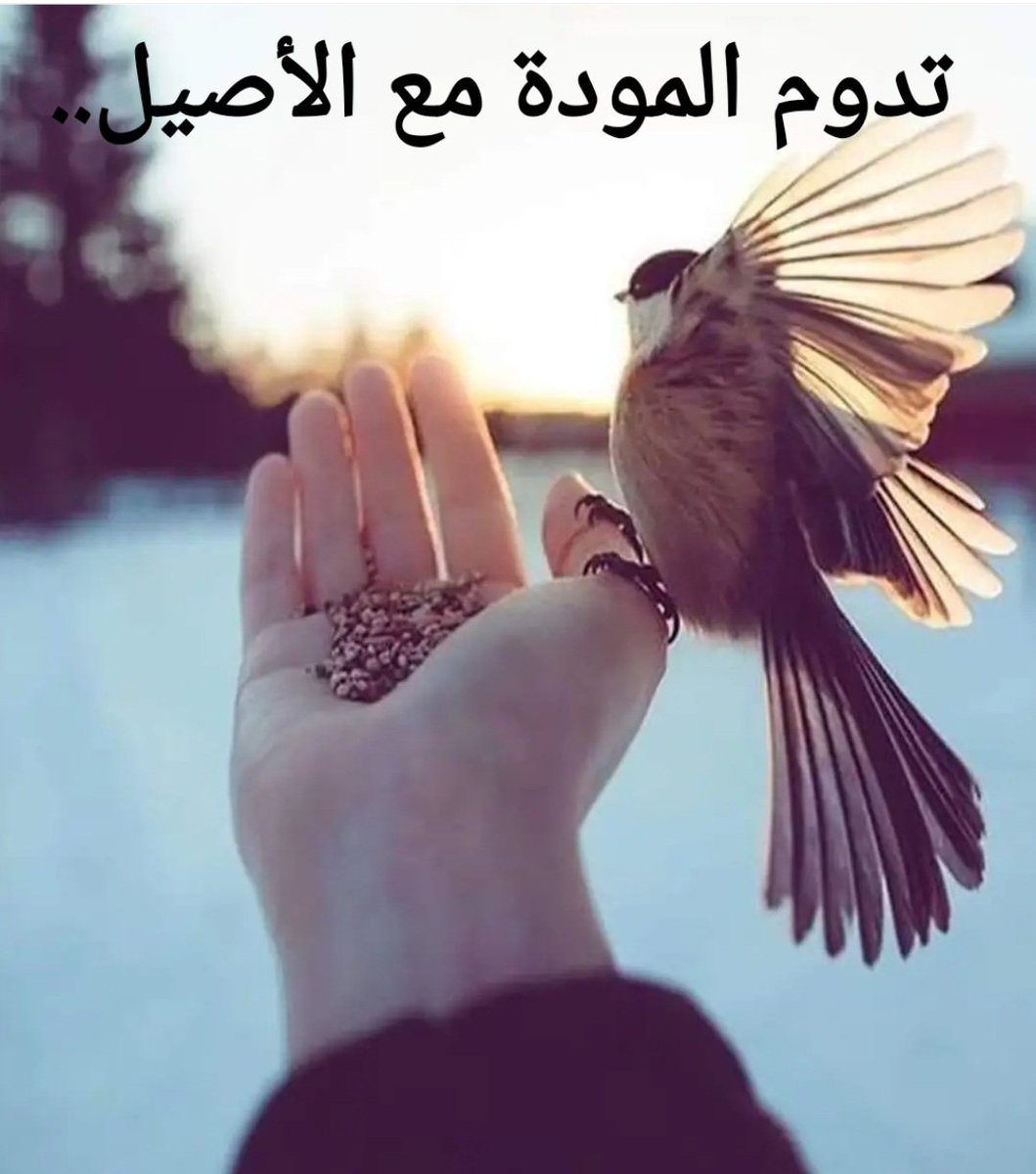 تدوم المودة مع الاصيل