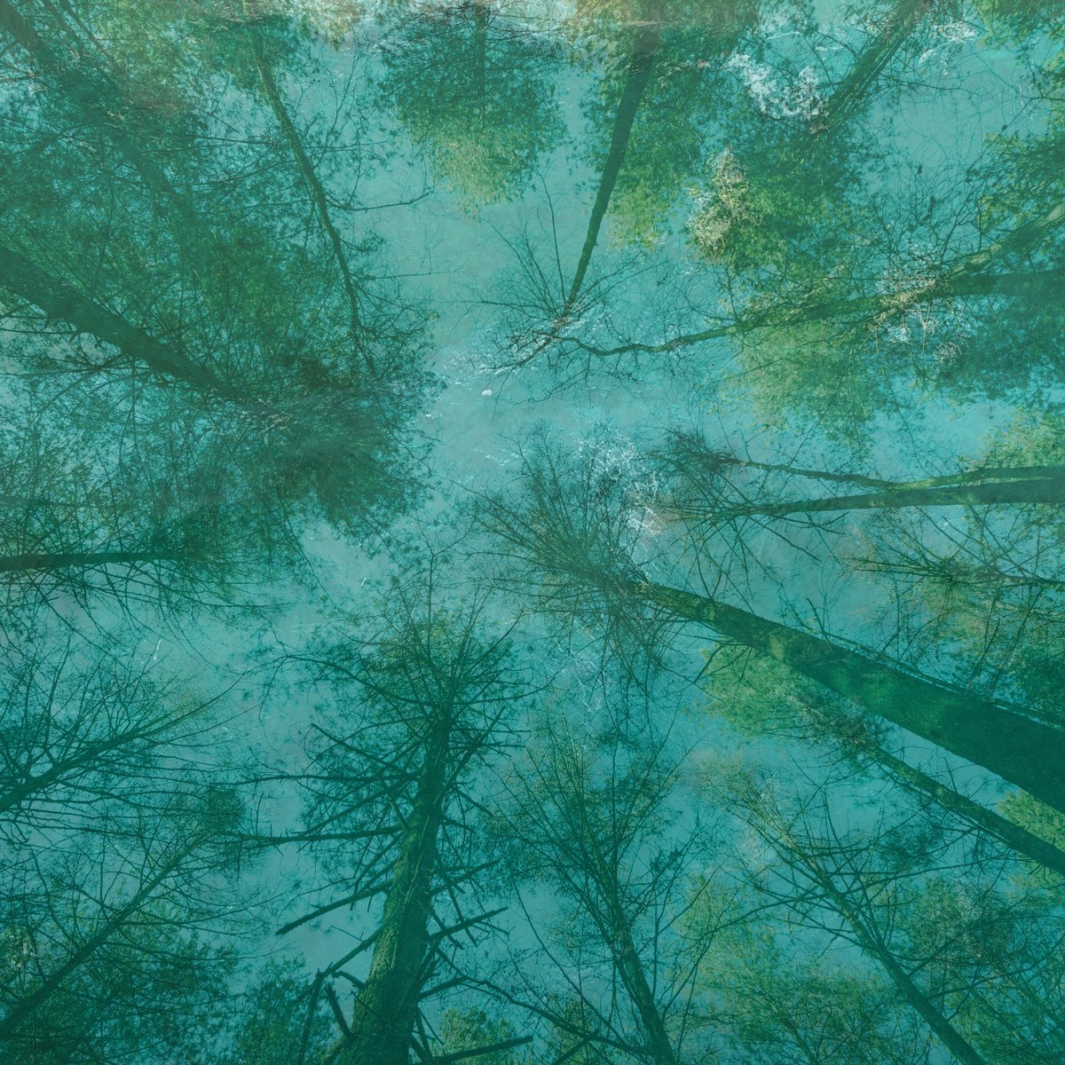 Folded Music tweet media