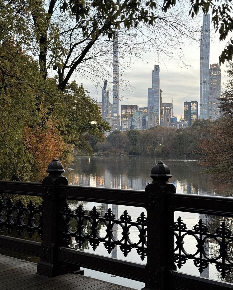 shots from new york