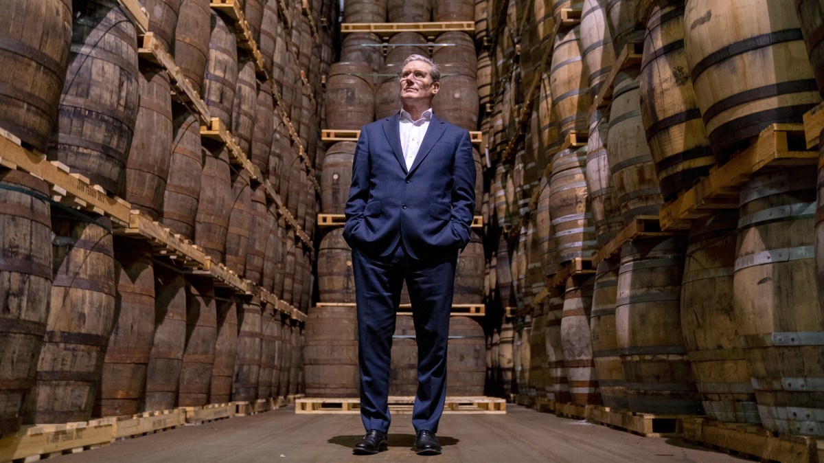 Steve Rolles tweet media