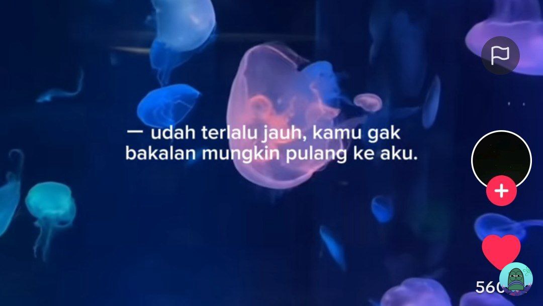 Tanyarl 💚 tweet media