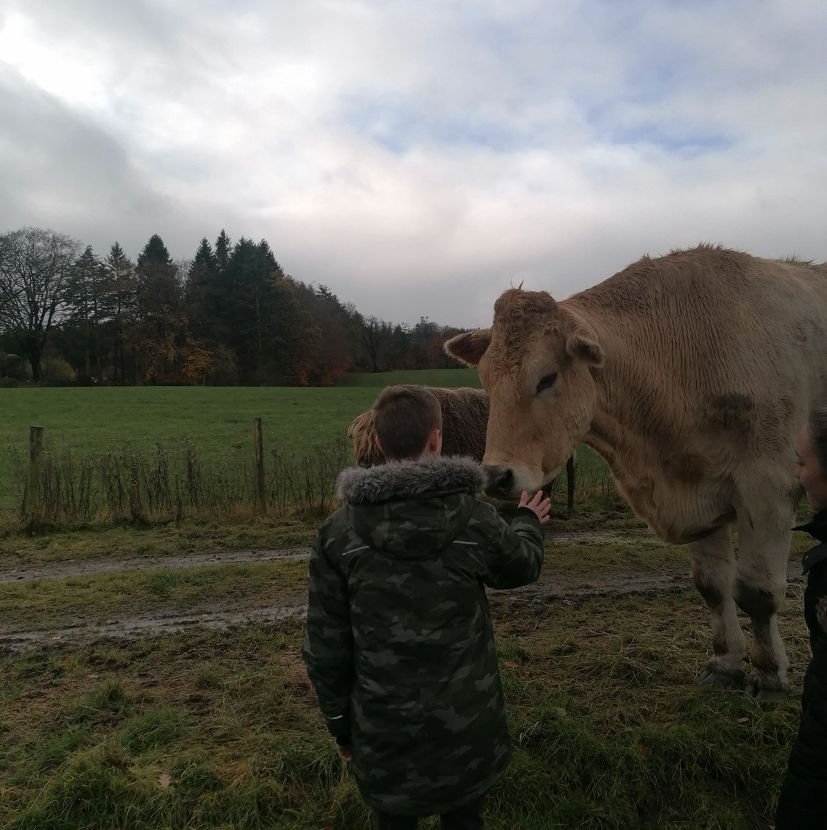 commonthreadltd's tweet photo. We visited Mossburn Community Farm with one of our young people to see how we can help each other. The community farm runs off donations &amp; volunteering, &amp; supports their animals as well as local young people with opportunities, &amp; animal assisted therapy and learning programmes. https://t.co/ul7sE52aap