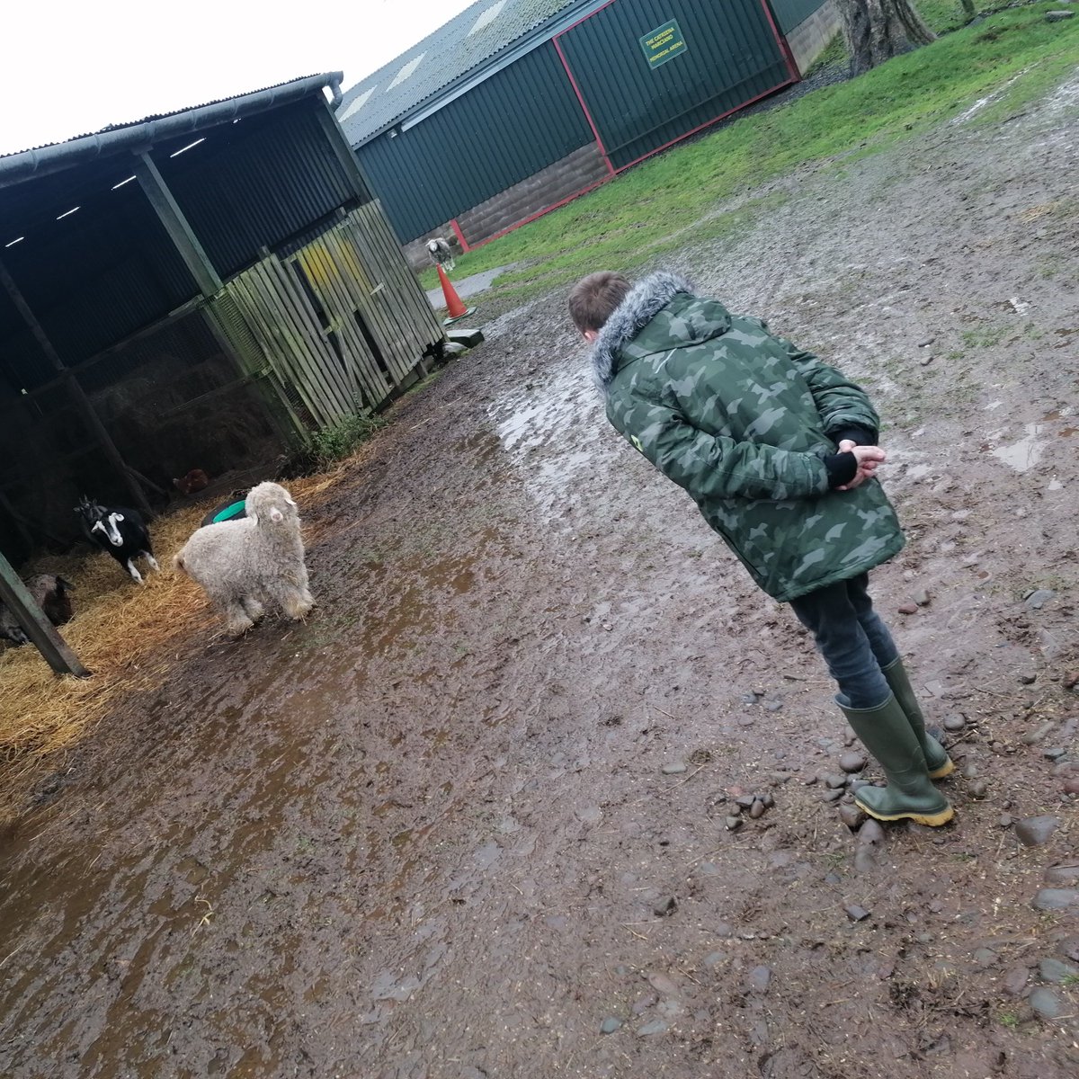 commonthreadltd's tweet photo. We visited Mossburn Community Farm with one of our young people to see how we can help each other. The community farm runs off donations &amp; volunteering, &amp; supports their animals as well as local young people with opportunities, &amp; animal assisted therapy and learning programmes. https://t.co/ul7sE52aap