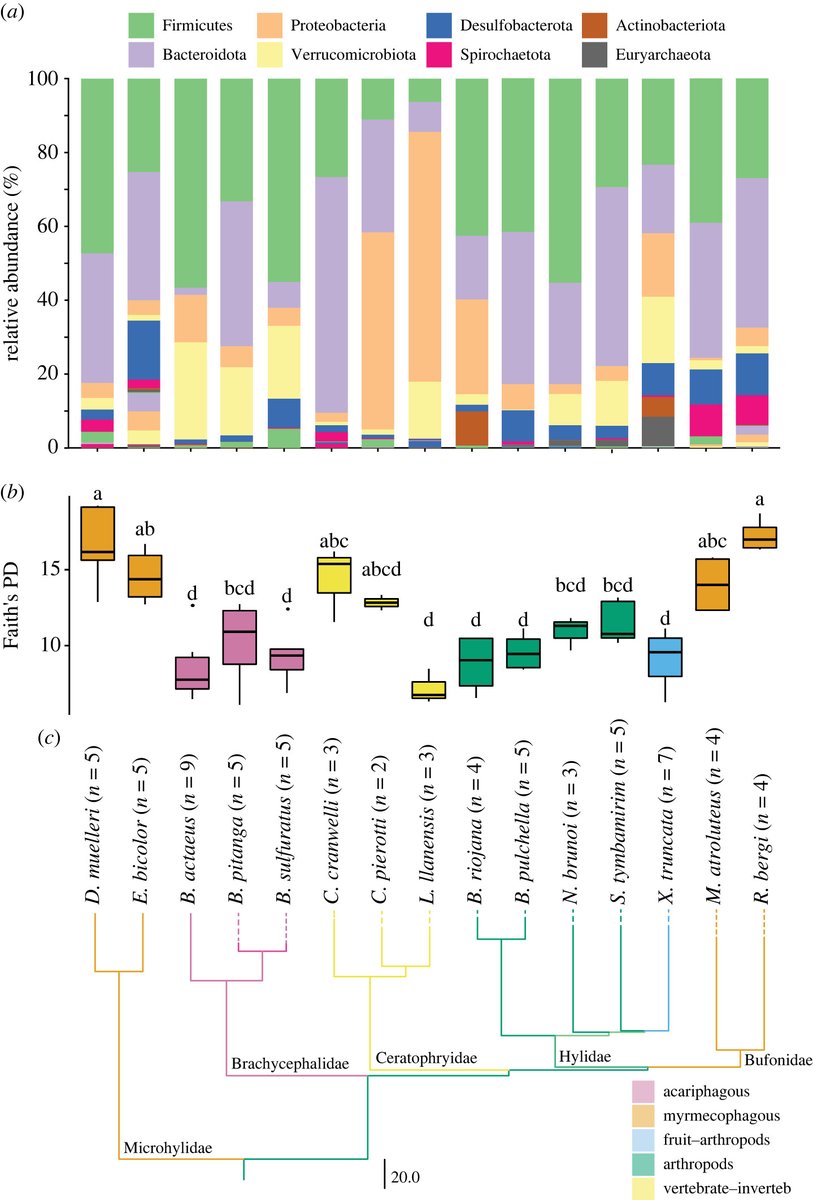 Convergence of gut #microbiota in myrmecophagous #amphibians #ProcB ow.ly/9rcV50Q8Cv8 #Ecology