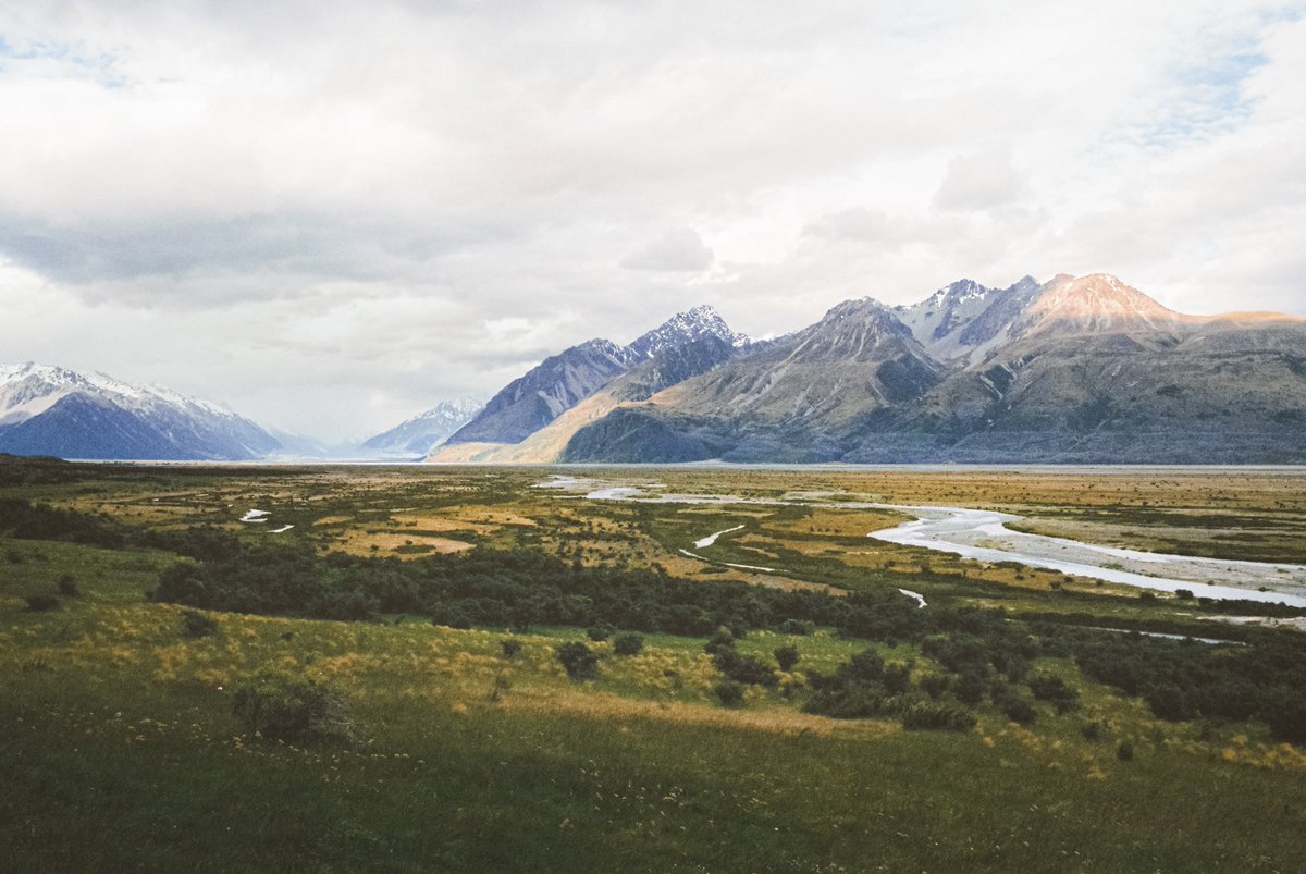 new zealand scenes on 35mm film 🎞️