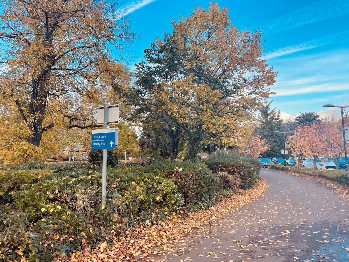 The library team are glad to be back at Goodmayes at our brand new study space. Especially when it's looking like this! 🍁🍂