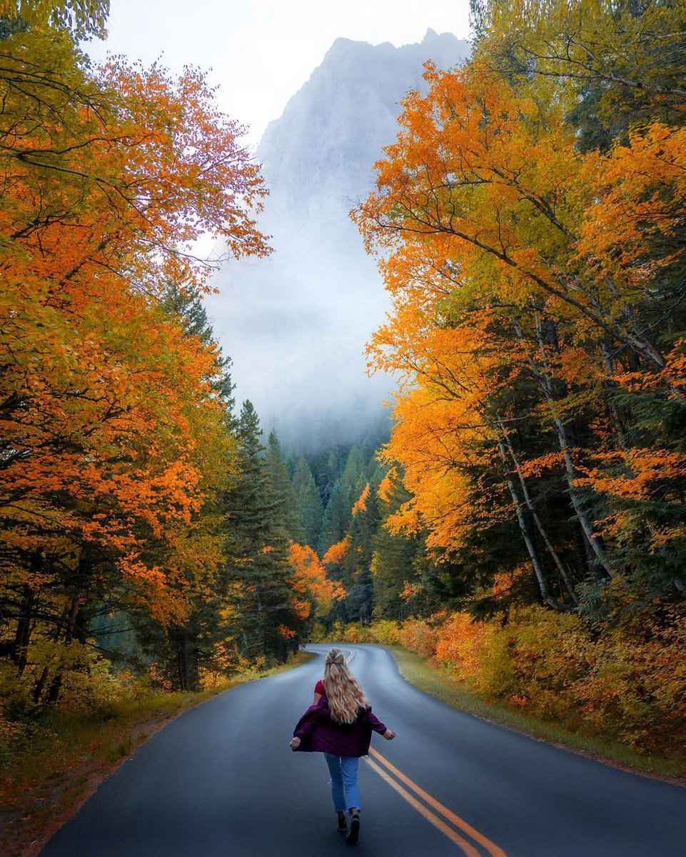 liesria's tweet image. I like the morning breeze, it seems like everything can start again.