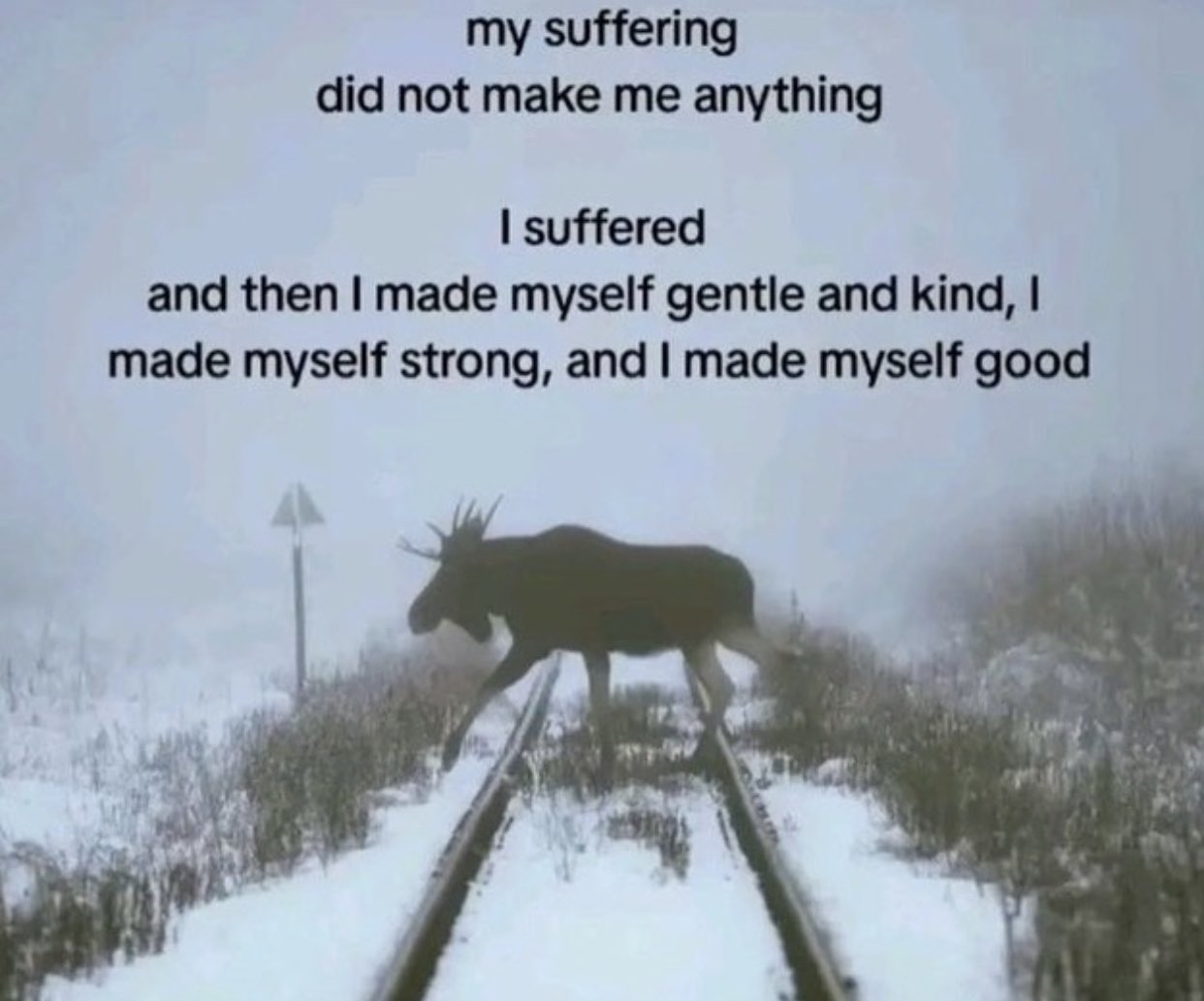 F_JZP8PW0AA32Oa?format=jpg&name=large