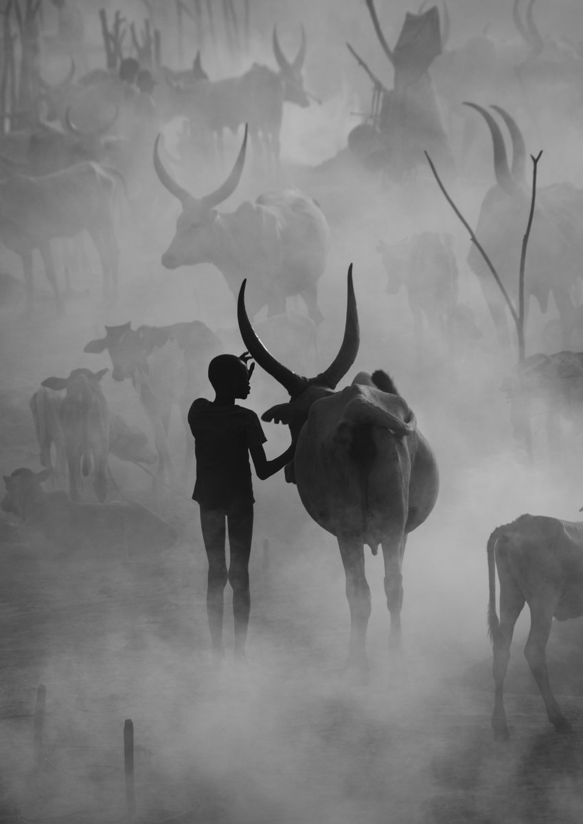 World Photography Organisation tweet media
