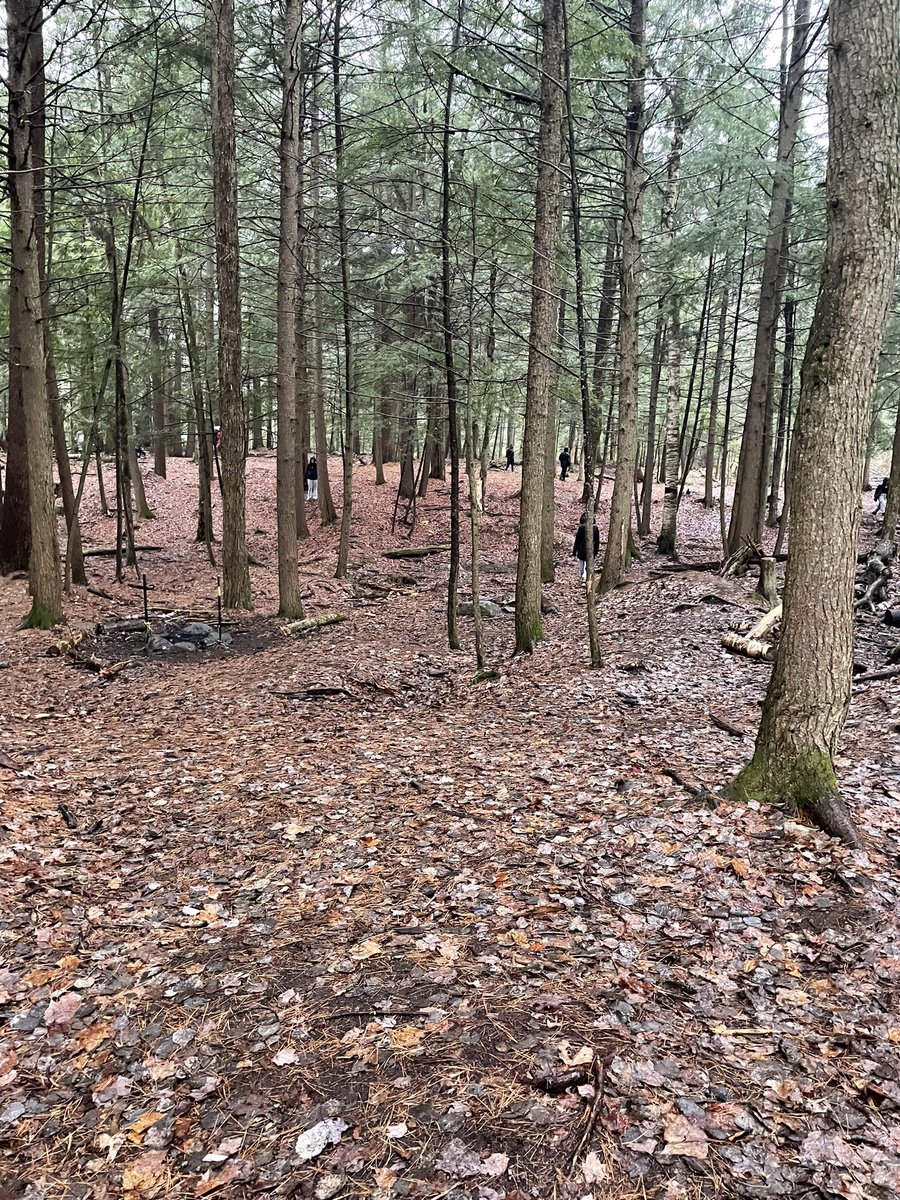 GregoryGrizzly1's tweet photo. Day 3 has come to an end. These beautiful Grizzlies are on their way home. ETA 3:30 pm. Thank you @campmuskoka https://t.co/KNXzjfqfmS