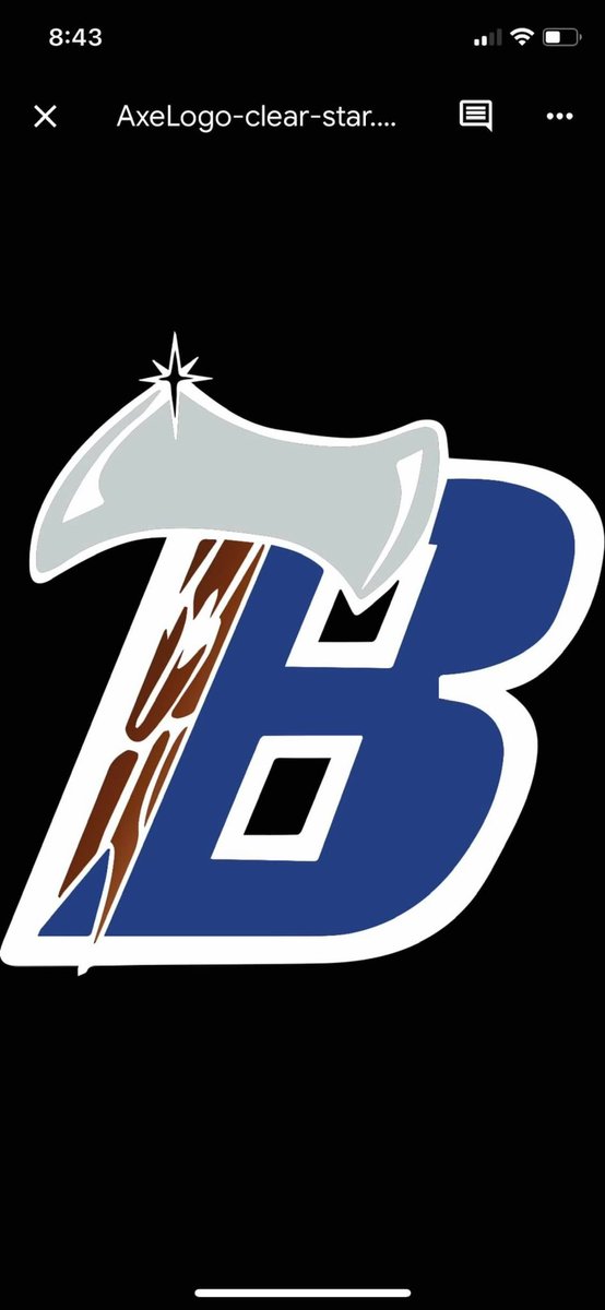 Bemidji Hockey tweet media