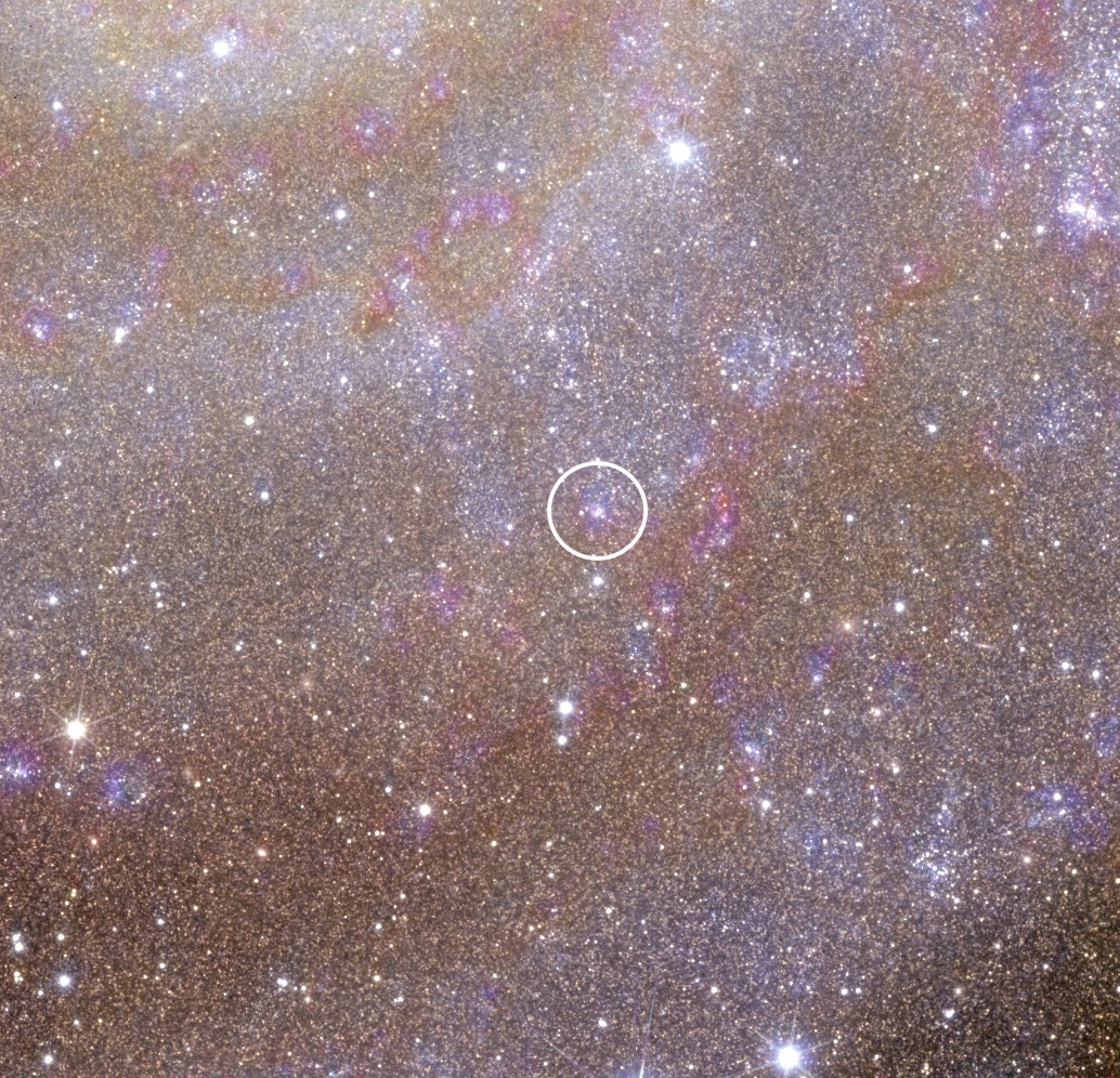 ESA_Euclid's tweet photo. #EuclidChallenge🔎 In #ESAEuclid's view of the so-called ‘Hidden Galaxy’ scientists have already spotted many globular clusters, some of which have not been previously identified.

What is so brilliant about Euclid images such as this one is that, in one shot, one can see the whole galaxy in all its beautiful detail.

1⃣ Zoom in here 👉 https://t.co/1P6mTg02p9 or access #ESASky at https://t.co/gpWjoH8i4a

2⃣ look for the globular clusters indicated in this and following message 

3⃣ and let us know if you have found them 🧐

(Part 1 of 2)