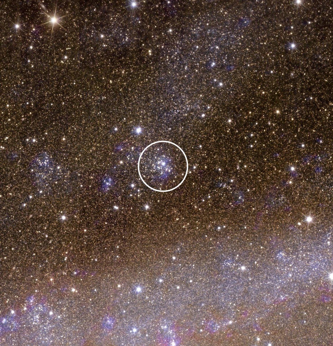 ESA_Euclid's tweet photo. #EuclidChallenge🔎 In #ESAEuclid's view of the so-called ‘Hidden Galaxy’ scientists have already spotted many globular clusters, some of which have not been previously identified.

What is so brilliant about Euclid images such as this one is that, in one shot, one can see the whole galaxy in all its beautiful detail.

1⃣ Zoom in here 👉 https://t.co/1P6mTg02p9 or access #ESASky at https://t.co/gpWjoH8i4a

2⃣ look for the globular clusters indicated in this and following message 

3⃣ and let us know if you have found them 🧐

(Part 1 of 2)