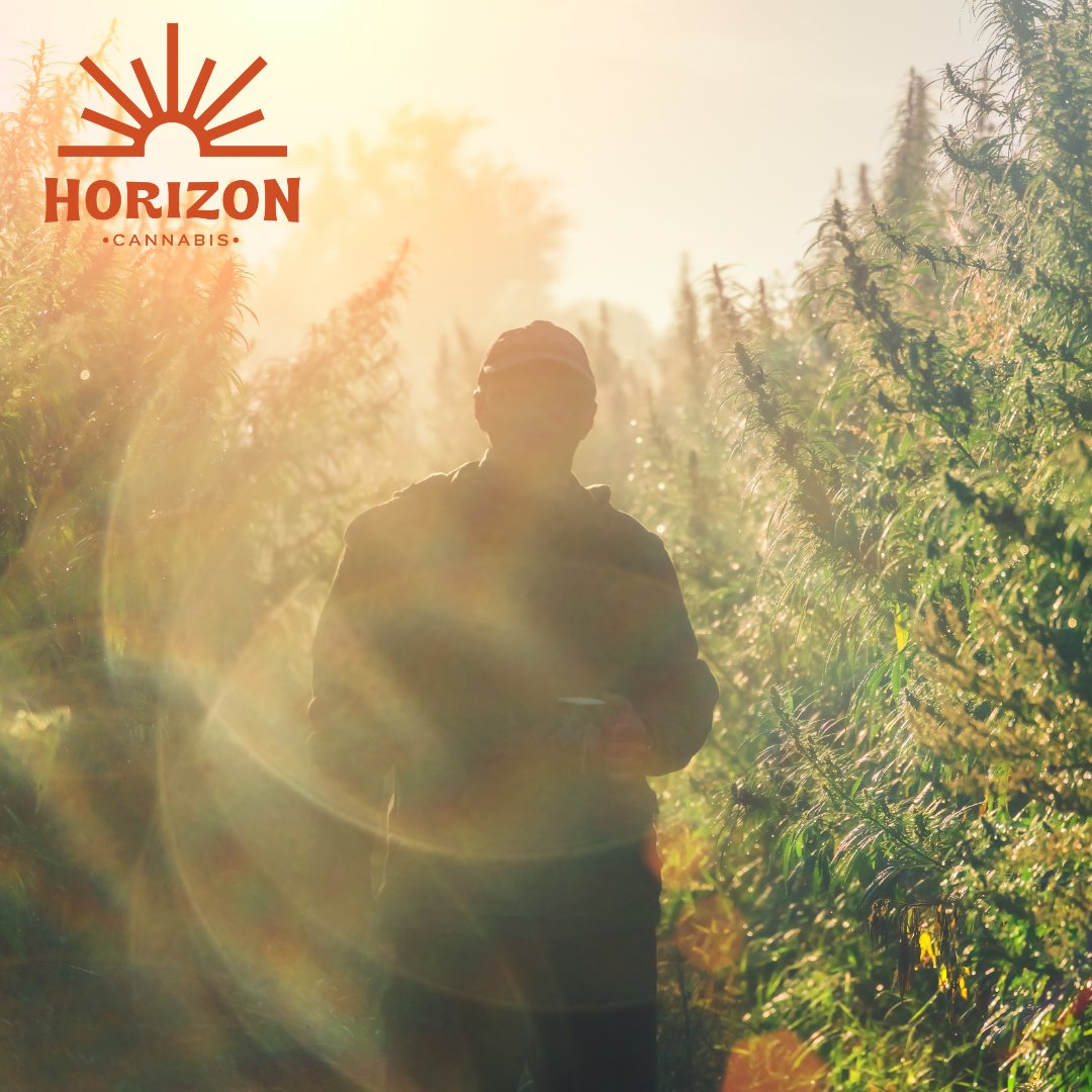 It's Friday. Time to get lost in the weed.