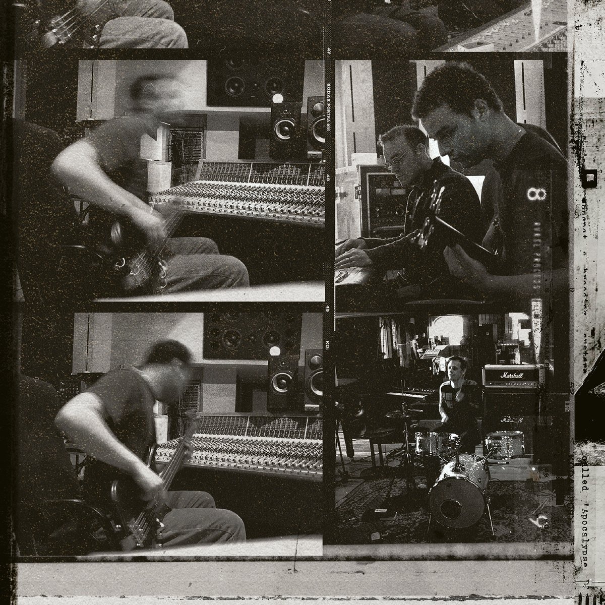 muse tweet media