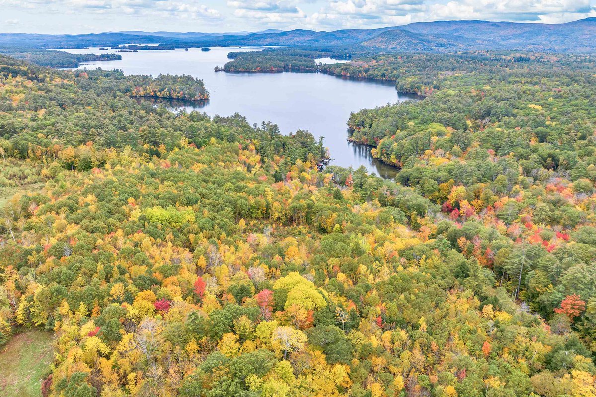 DowRealtyGroup's tweet photo. A literal stones throw to Squam Lake, this beautiful view lot is partially cleared and ready for you to build your dream home https://t.co/TqoceTGbFK #SandwichNH #newhampshire #realestate #nhrealestate #kellerwilliams https://t.co/V4LMbqmmHM