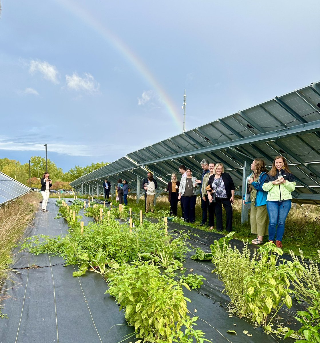 Rob Davis tweet media