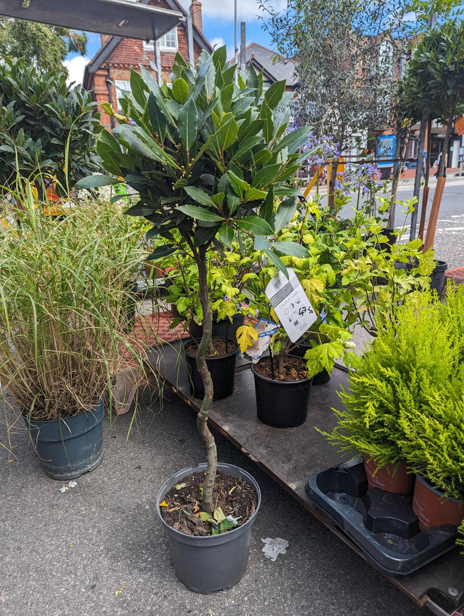 See what's on at the market  Saturday 18th November:

mailchi.mp/01feb8442ef6/h…

Altiplano is back Sergio handmakes lovely leather goods such as Wallets, Bags, Laptop cases and more!

N &amp; J Thamesdown Nursery are back with plants, flowers and trees.

Hurricane Huggys are back!