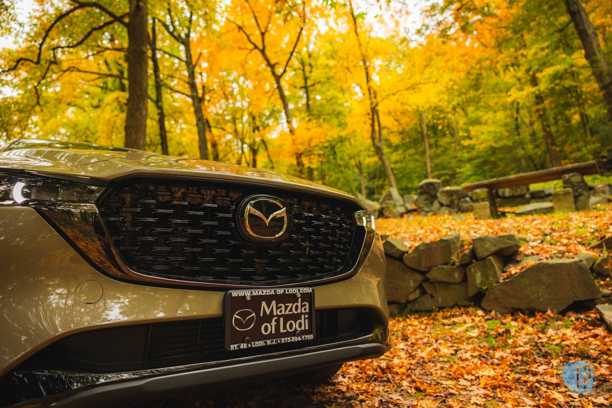 Embrace the beauty of autumn with the sleek and stylish Mazda CX-5. 🍂✨
🔗 bit.ly/3HUktT2
.
.
.
#RiversidePartnersAdvertising #riversidepartners #advertising #advertisingagency #automotive #vehiclephotography #marketing #mazdaCX5 #mazdalovers #socialmedia #exteriorshots