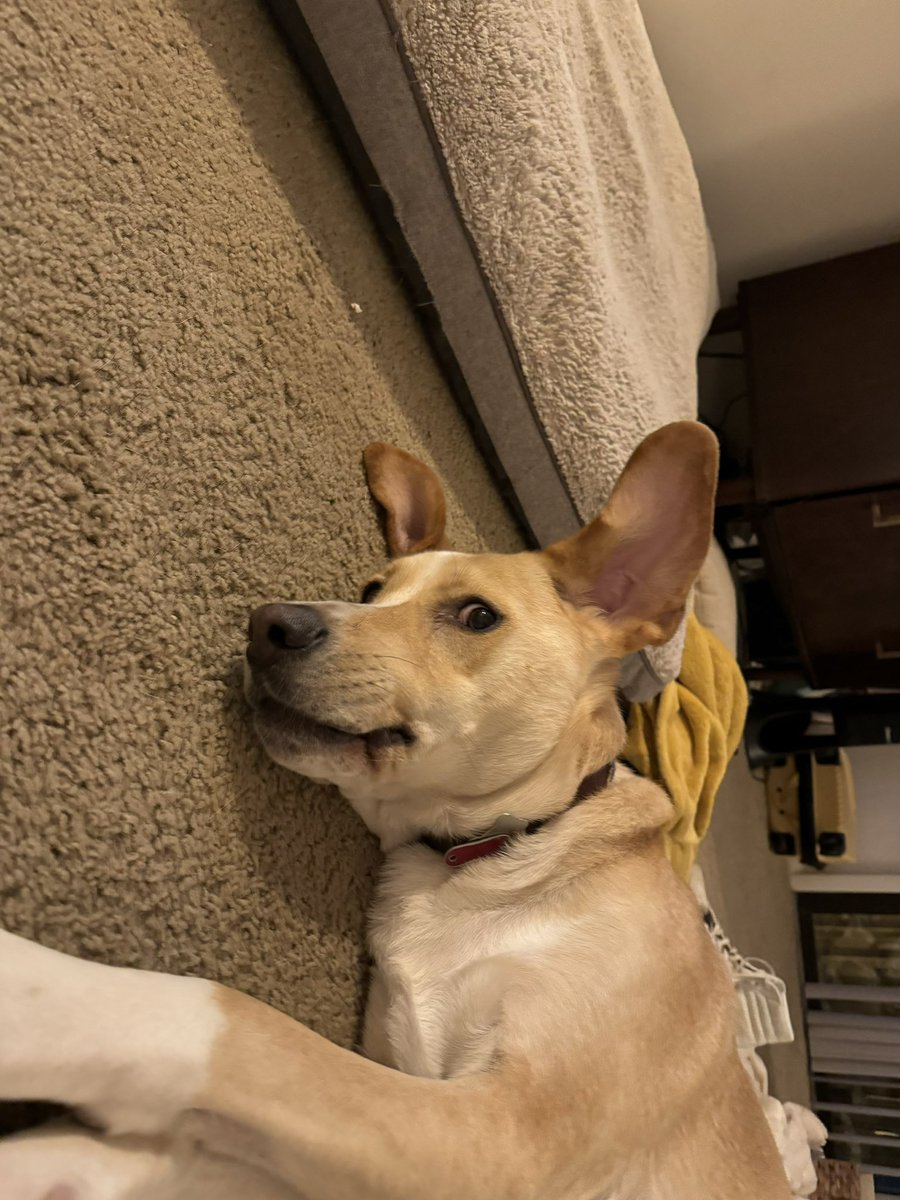 Hannah Early (@hannahmearly) on Twitter photo 