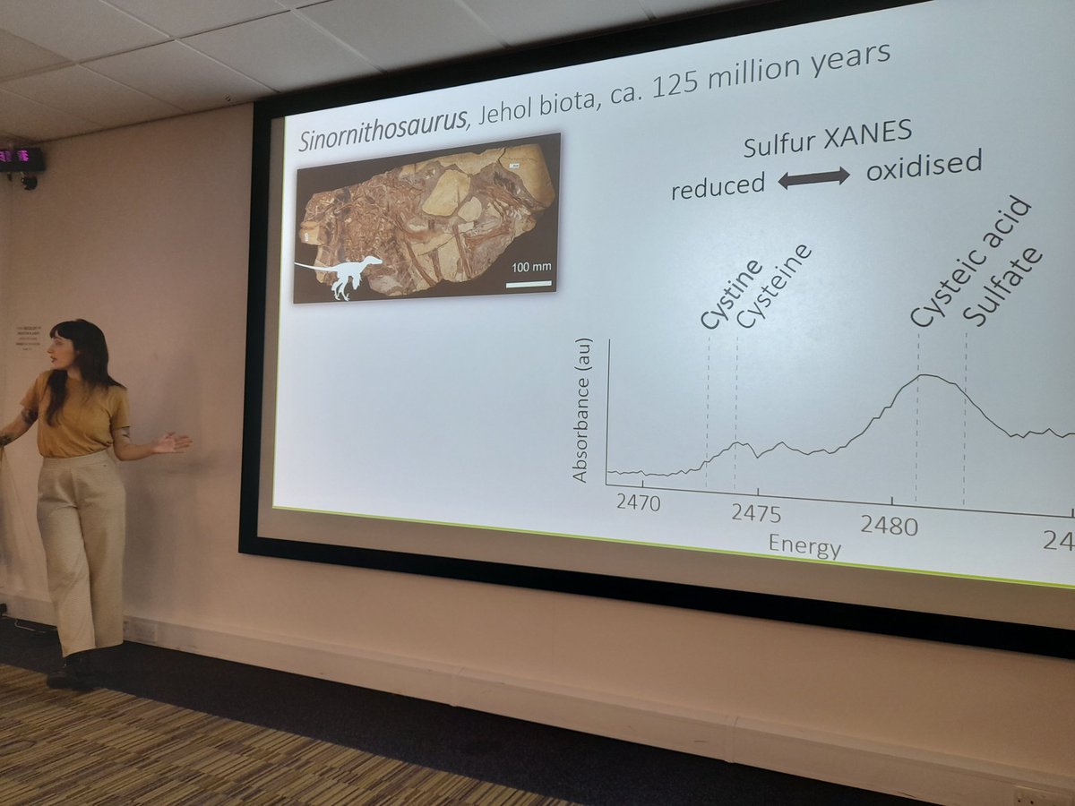 Palaeo@Leeds tweet media