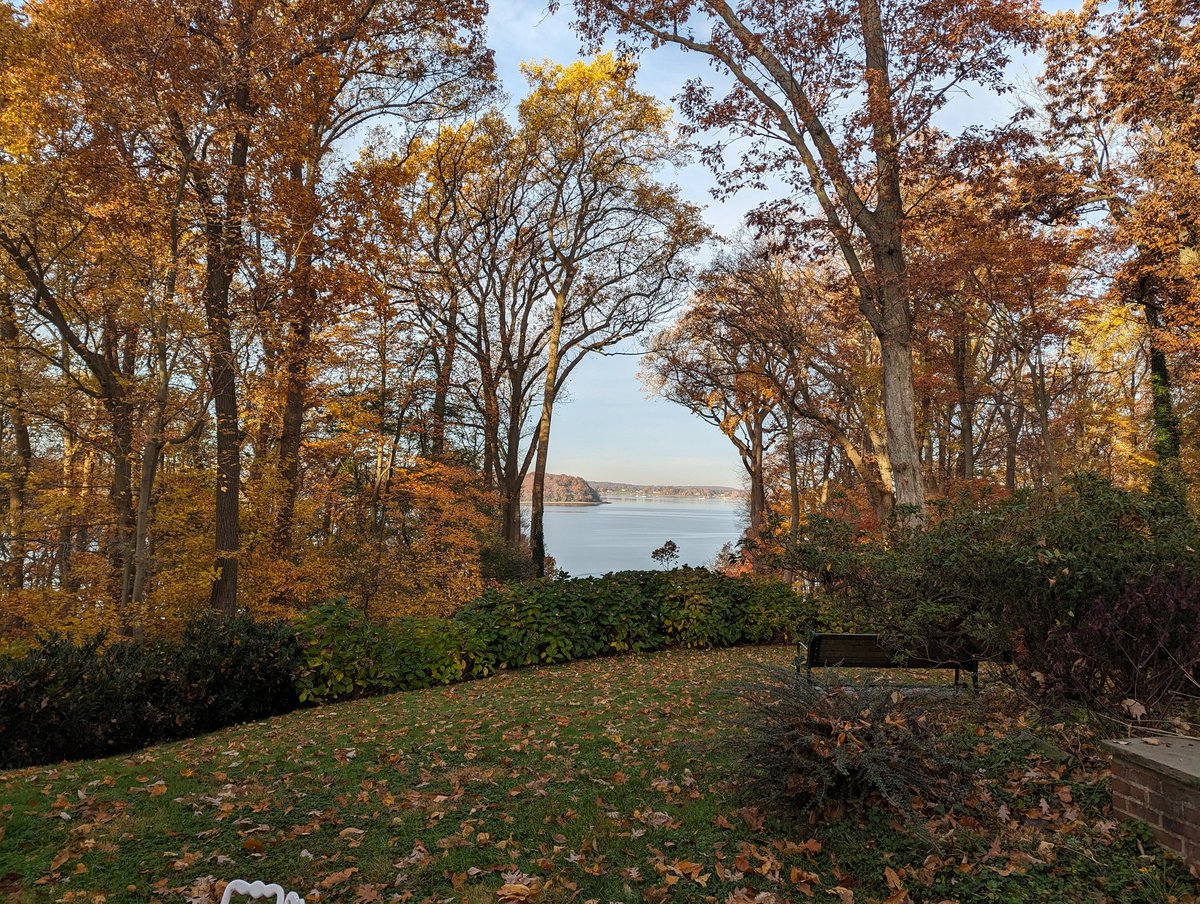 flofightscience's tweet photo. Checked into Robertson House for #CSHLZebrafish and it's giving 'historical hideaway' vibes. Between the leafy views and the portraits of Winston Churchill, it's a intresting and refreshing change from the usual conference scene. https://t.co/3GcZTfX72V