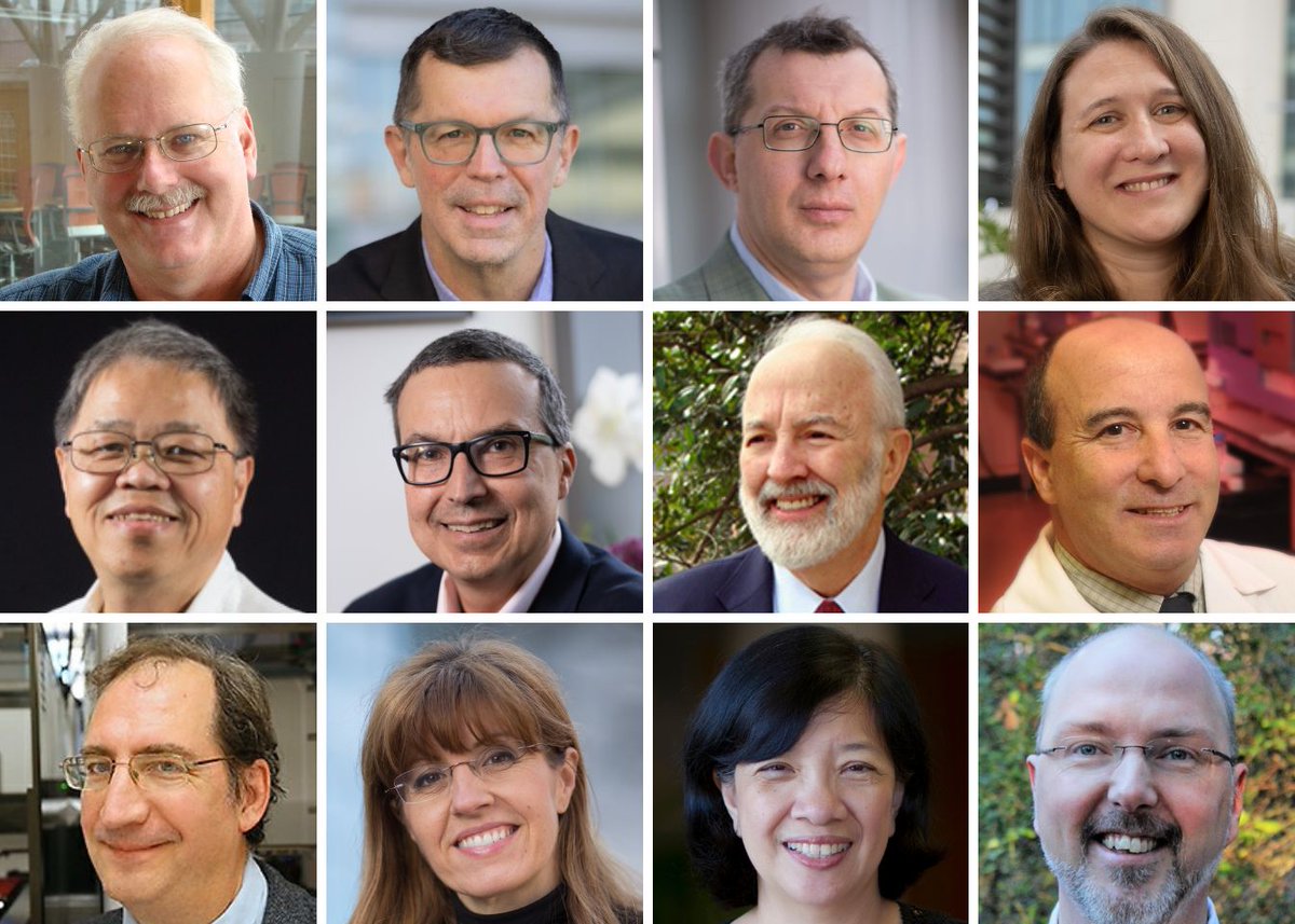 Twelve UNC Lineberger members were named to <a href="/Clarivate/">Clarivate</a>'s 2023 Highly Cited Researchers™ list, which recognized scientists who published papers that ranked in the top 1% of cited publications in their field between 2012-2022. unclineberger.org/news/unc-lineb…
