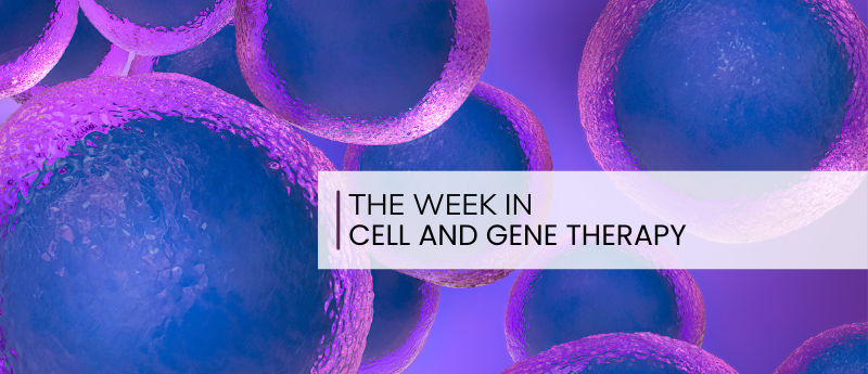 RegMedNet (@regmednet) on Twitter photo 🟢Cell therapy weekly:
<a href="/RayTherapeutics/">Ray Therapeutics, Inc.</a> has been awarded US$4 million grant to advance optogenetic therapy
<a href="/LegendBiotech/">Legend Biotech</a> and <a href="/Novartis/">Novartis</a> form partnership a strategic partnership
<a href="/InGeneronInc/">InGeneron</a> reports positive data for rotator cuff tear cell therapy! 🟢Cell therapy weekly:
<a href="/RayTherapeutics/">Ray Therapeutics, Inc.</a> has been awarded US$4 million grant to advance optogenetic therapy
<a href="/LegendBiotech/">Legend Biotech</a> and <a href="/Novartis/">Novartis</a> form partnership a strategic partnership
<a href="/InGeneronInc/">InGeneron</a> reports positive data for rotator cuff tear cell therapy!
