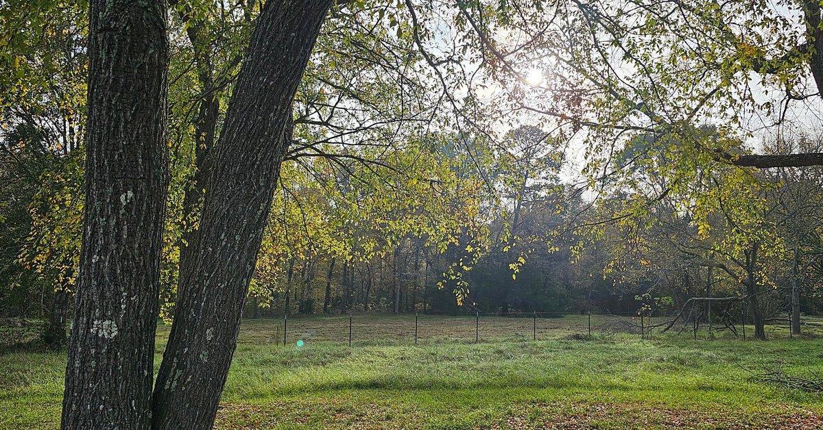 kinseyatoz's tweet image. After the wind, an earthquake and then fire, Elijah heard "the sound of a low whisper." And Elijah heard the Lord's voice. 1 Kings 19:12 #godwhisperssowedrawcloser #listenforgod