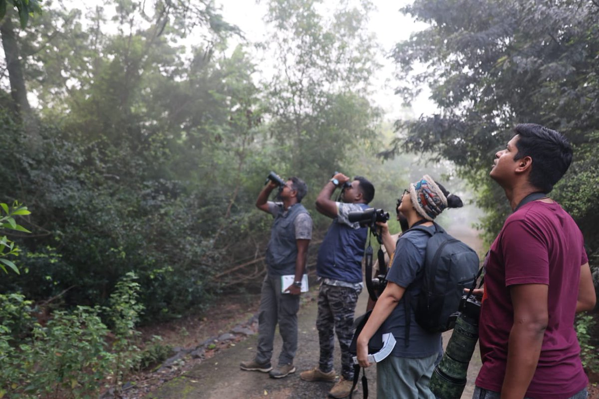 Aiwcrteofficial's tweet photo. On 2nd day of the one-month certificate course 20 Forest Range Officer  has field exposure on bird watching  guided by AIWC Research Team at AIWC Campus, around 30 bird species were identified on 17 November, 2023.
#birdwatching 
#fieldexposure 
#wildlifeconservation https://t.co/QuiAIEDh5z