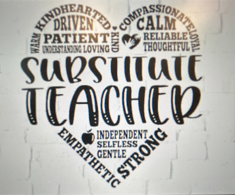 SwartzCreekHS's tweet photo. Swartz Creek High School celebrates Substitute Teacher Appreciation Day! Our guest teachers and Premier Subs are such a valuable part of our educational community by keeping our classes running and building a positive climate and culture with students and staff! https://t.co/ruXfxcYIEu