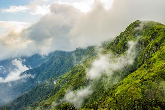Mt. Tenipu of Mao near Nagaland border is the highest peak in Manipur along the Purvanchal Range. It is 9823 feet high and lies next to Dzuko Valley. It is covered with rich, tropical &amp; divine forest. #ThisIsManipur #SaveForest #SaveManipur