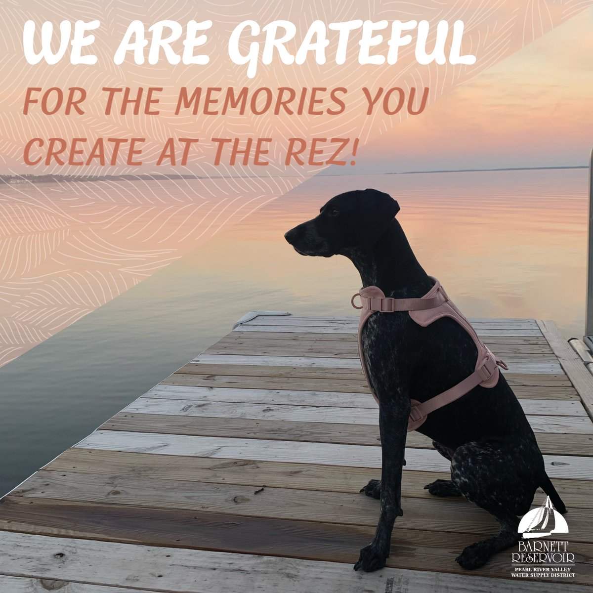 November is all about gratitude, and we are grateful for the opportunity to create fun for friends and families in the Jackson area! Tell us your favorite memory at the Rez in the comments below!