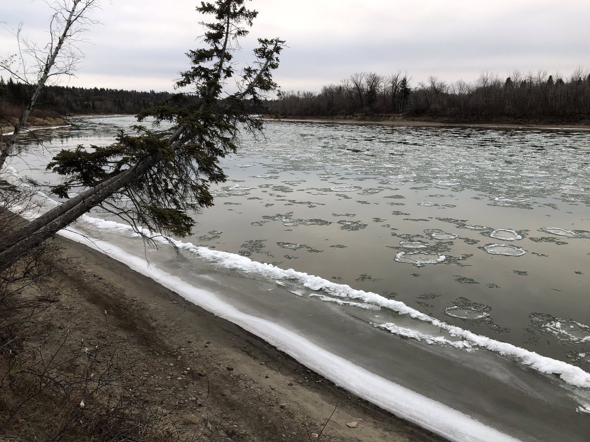 fitzs's tweet photo. Mesmer<icing>…#Frazil Ice on the #NorthSaskatchewanRiver. https://t.co/a2hcBjKqz7