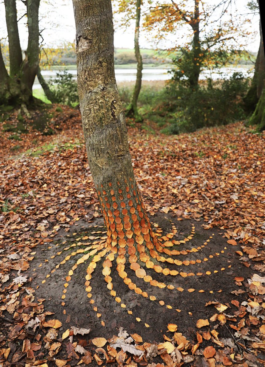 sim_barr's tweet photo. Autumn Leaves
The #LandArt of #JonForeman, an #artist in Pembrokeshire, Wales. These works were created between 2016 and 2023.
#autumnleaves #sculpture #art #sculpttheworld #pembrokeshire #ukartist #ephemeralart #pembrokeshirewales #autumn #fall #herbst #automne #otoño #Осень https://t.co/PSKEqPNz9W