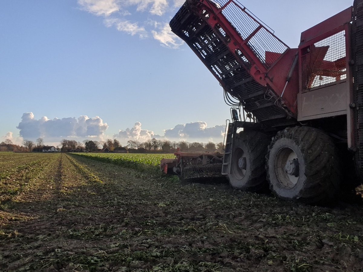 Laurens Persoon tweet media