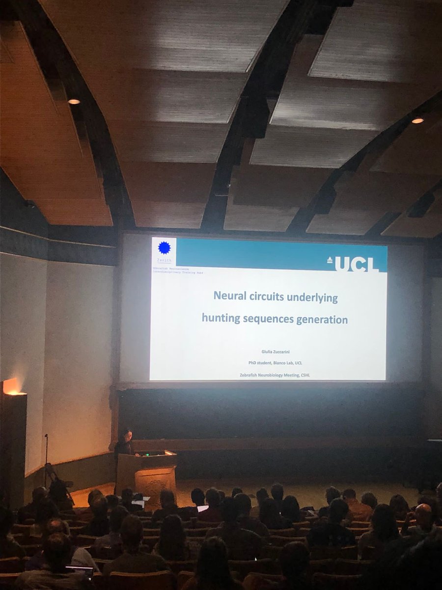 giuzeta's tweet photo. It was very exciting to present my work at #cshlzebrafish ! big thanks to the organizers for the opportunity, and for such a great meeting!
@ibianco3 @zenith_etn https://t.co/J8zmkLKKzM
