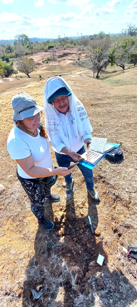 WOCATnet's tweet photo. ¡Las actividades futuras de WOCAT 🌐 se adaptan a tus necesidades! 🌱 Comparta con nosotros su experiencia e intereses profesionales y organizacionales en la colaboración #SLM #SurSur!
🎯@UNCCD @FAOLandWater @galaxy_south #LDN
Encuesta! 👉 https://t.co/aD4Hxn3xNB https://t.co/t91tumfOHb