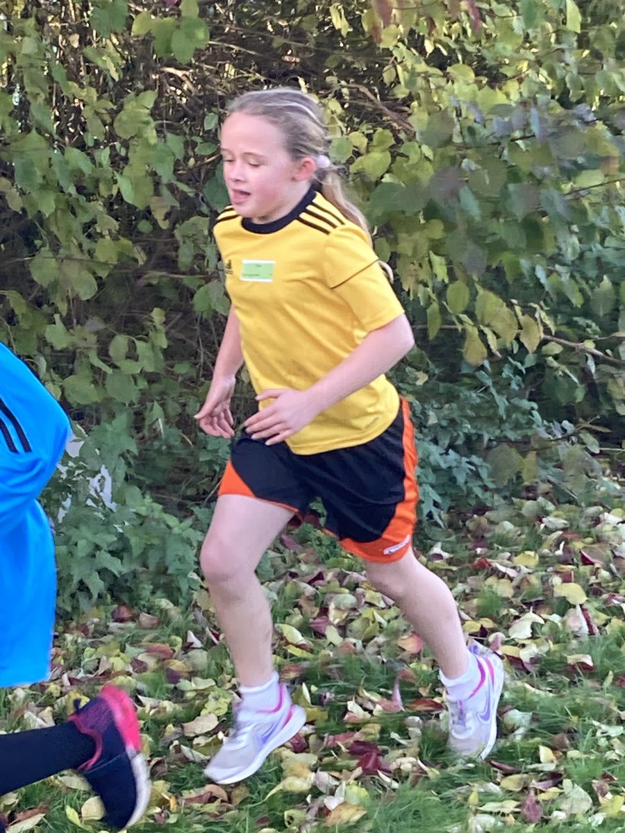 SpringwoodPE's tweet photo. Great effort from #TeamSpringwood at the Year 3/4 Cross Country today @SportBirdwell thank you for doing a
great job of hosting. Well done to all the children involved #physicallyactive https://t.co/j672wWfUm7