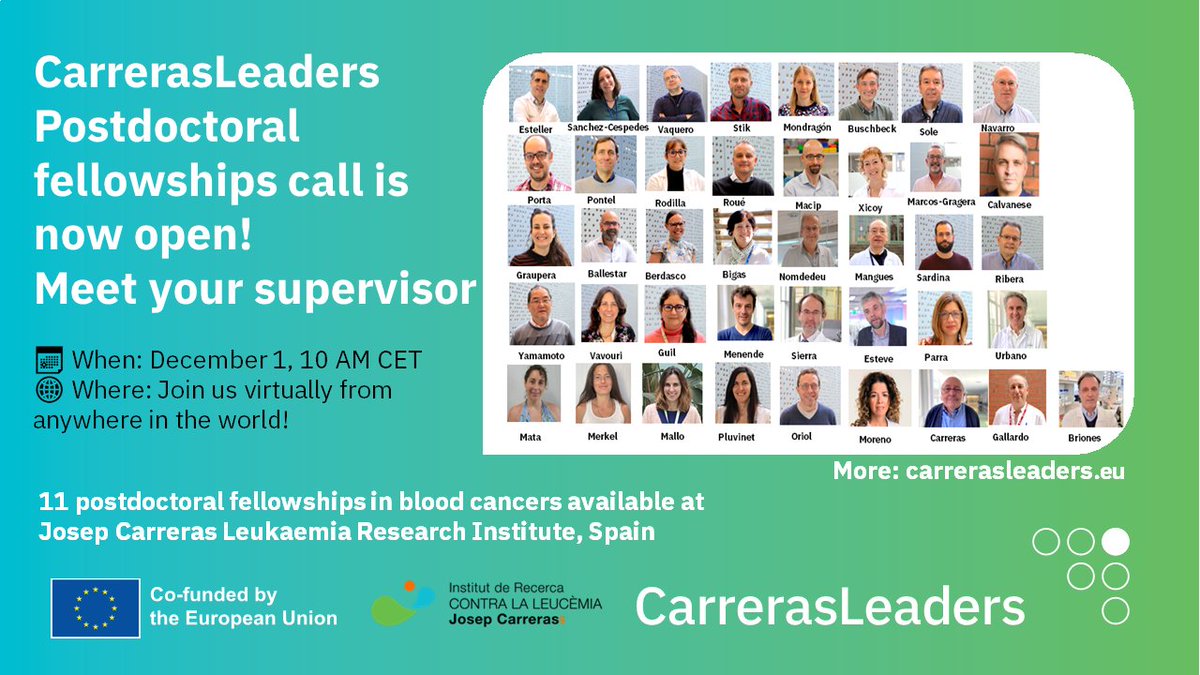 CarrerasLeaders's tweet photo. To all aspiring researchers, CarrerasLeaders offers 11 #postdoc fellowships in blood cancers.

Join our virtual Meet&amp;Greet, engage with research groups and platforms leaders at @CarrerasIJC.
 
📅December 1st, 10AM CET

Fill out the form to participate:
https://t.co/4y6SzNPxDj https://t.co/URqMps8Jak