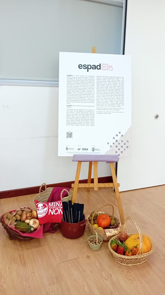 Mina Touro - O Pino NON tweet media