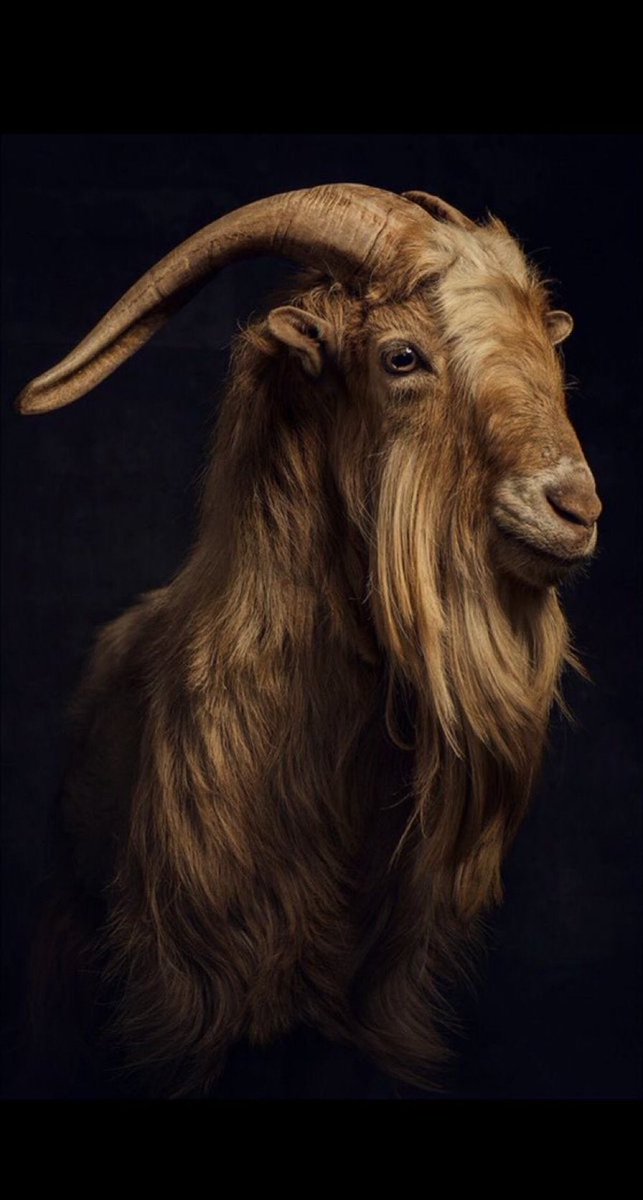 𝐉𝐄𝐑𝐑𝐘 tweet media