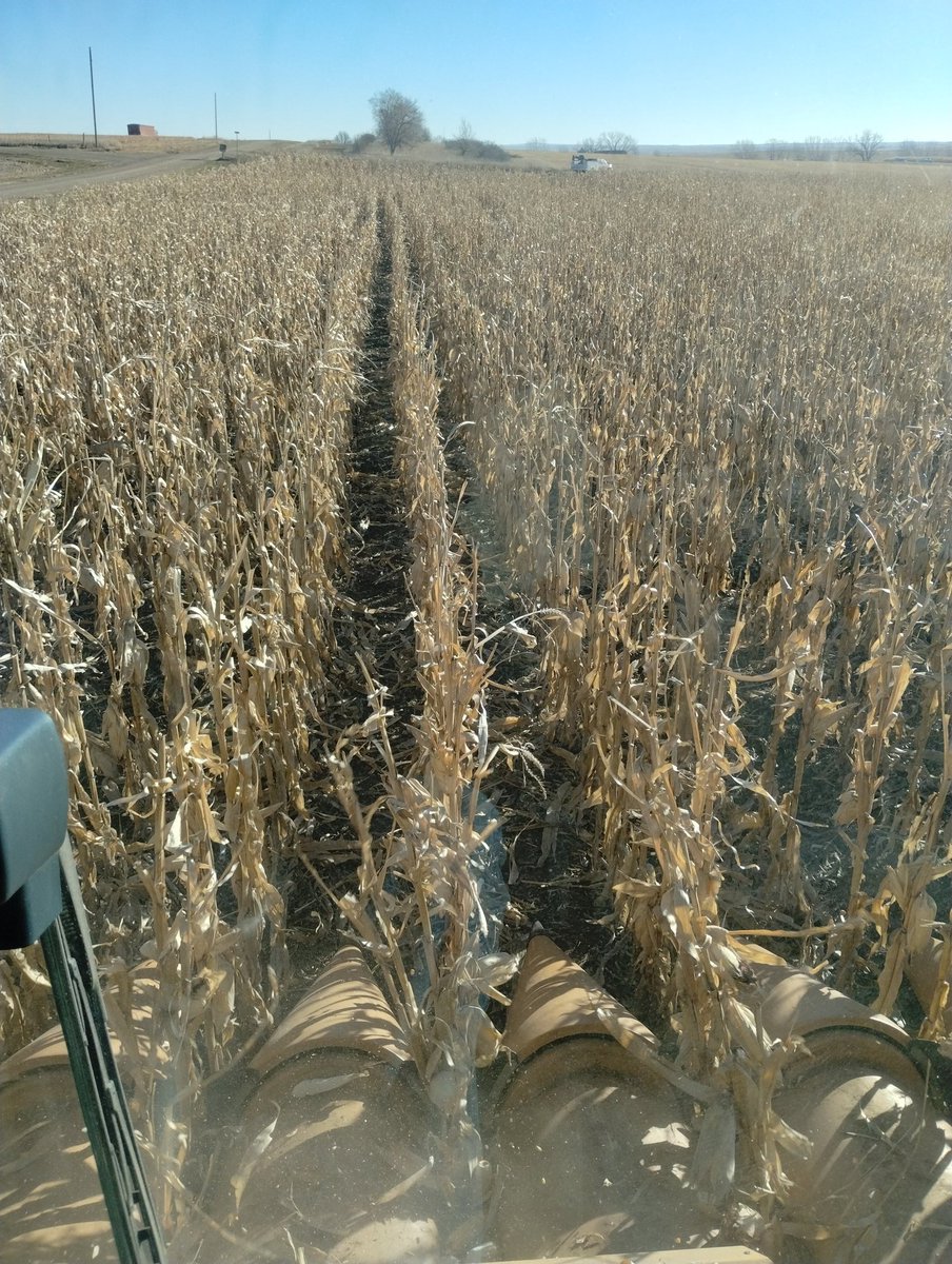 okaton_farm's tweet photo. #iowathings https://t.co/oYc5cSq8uN