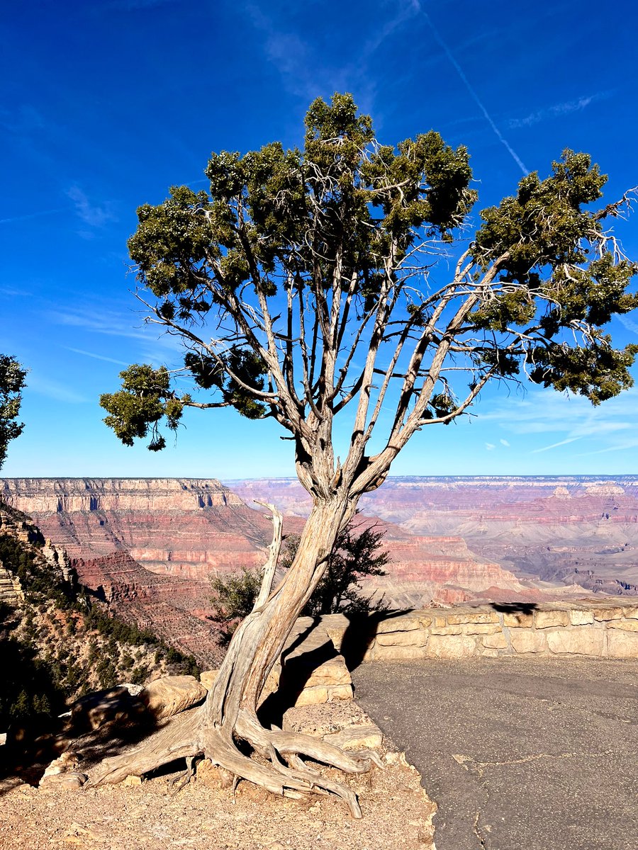 @arborsmarty Grand Canyon 🤍💙