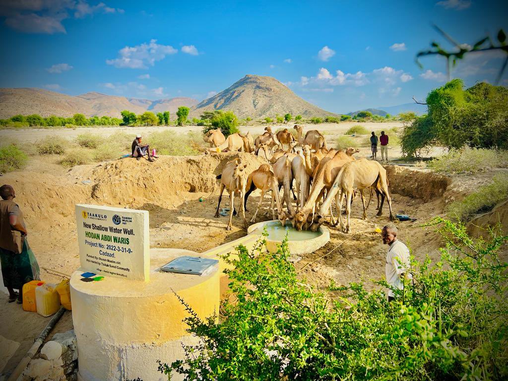 TaakuloSomali's tweet photo. @TaakuloSomali has achieved successful completion of Shallow Water Well in #Cadaad village. This well is poised to offer sustainable water sources for both people and livestock, facilitating essential farm irrigations. Thanks to @DM_AID for their pivotal role in this endeavour. https://t.co/5Si6JdUfGZ