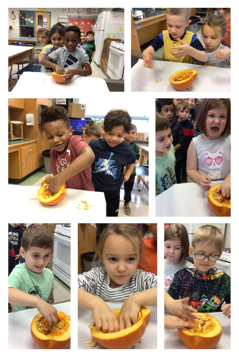 Ms Nikki tweet media